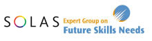 Information from National Skills Bulletin 2010, compiled by FAS and the Expert Group on Future Skills Needs